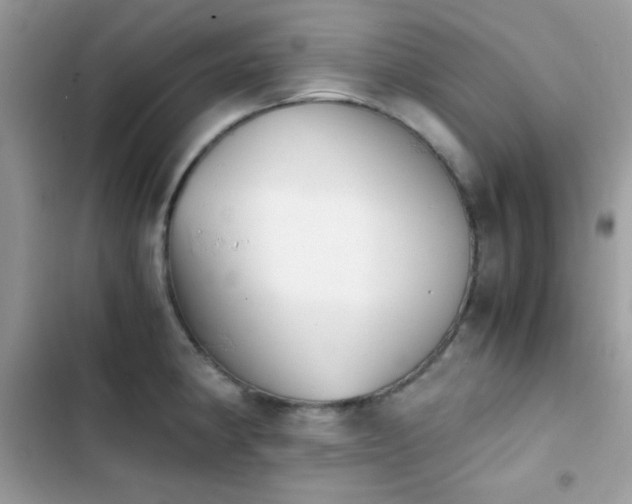 X0000103961190200809191504