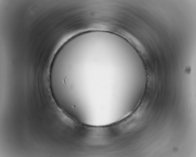 X0000103961192200809191504