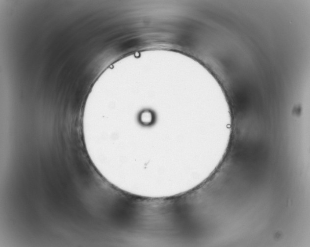 X0000103961193200809191504