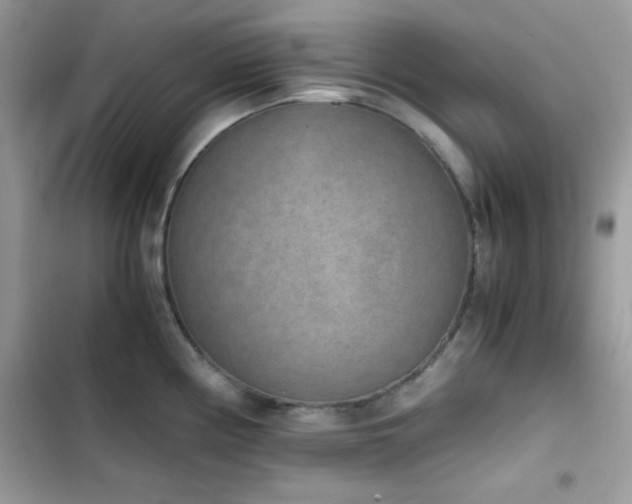X0000103961194200809191504