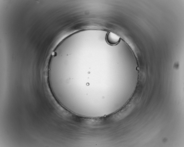 X0000103961195200809191504