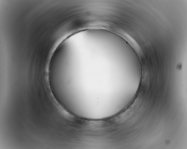 X0000103961196200809191504
