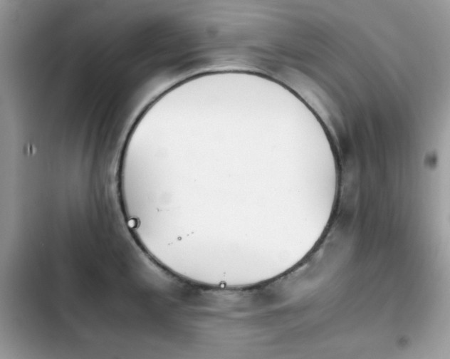 X0000103961197200809191504