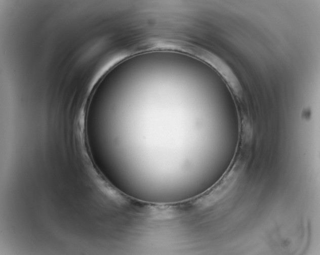 X0000103961198200809191504