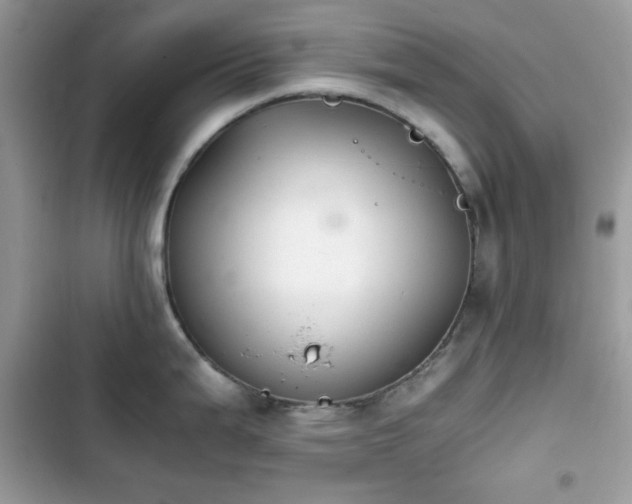 X0000103961199200809191504