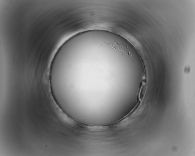 X0000103961200200809191504