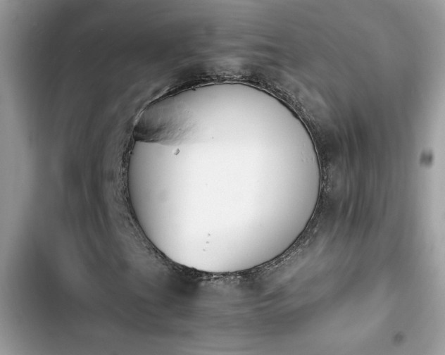 X0000103961201200809191503