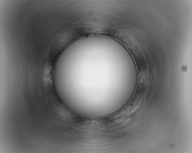 X0000103961202200809191503