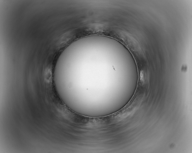 X0000103961203200809191503
