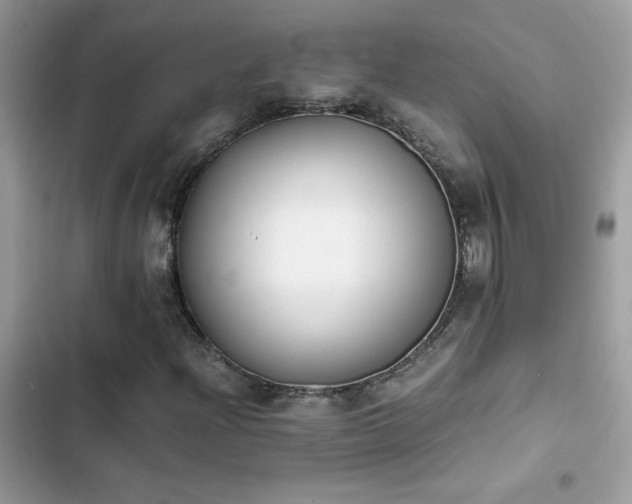 X0000103961204200809191503