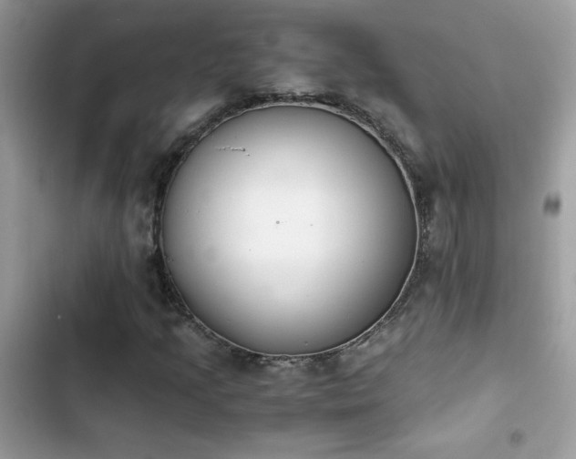 X0000103961205200809191503