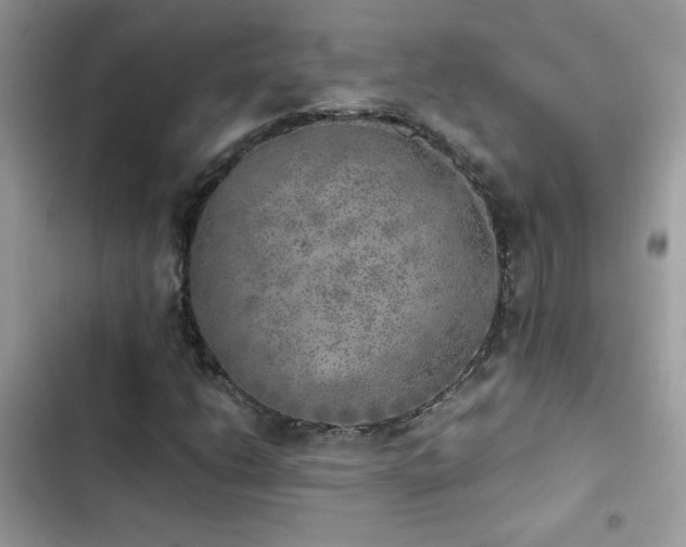 X0000103961206200809191503