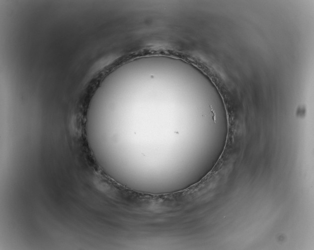 X0000103961207200809191503