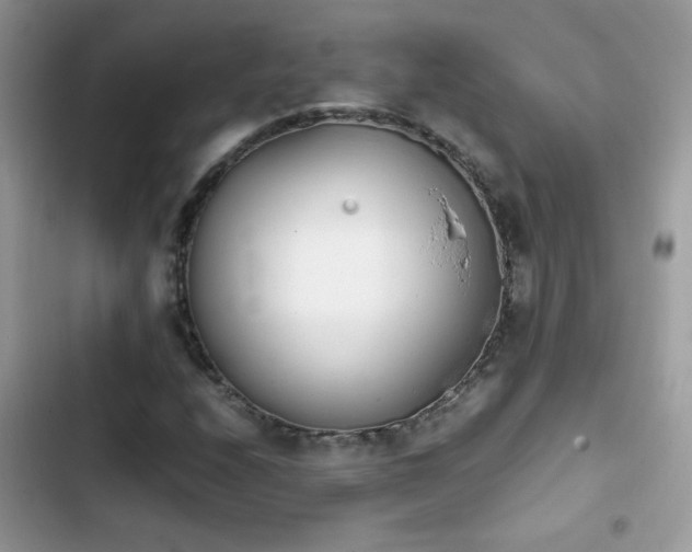 X0000103961208200809191503