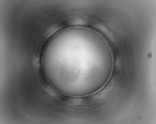 X0000103961209200809191503