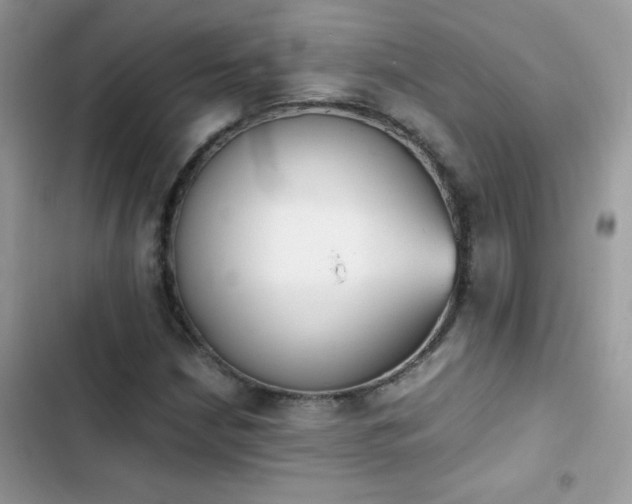X0000103961210200809191503