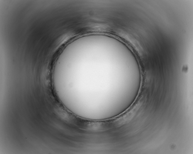 X0000103961211200809191503