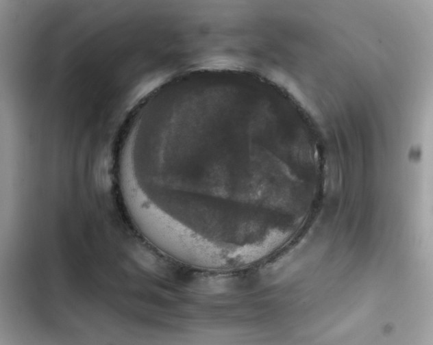 X0000103961213200809191503
