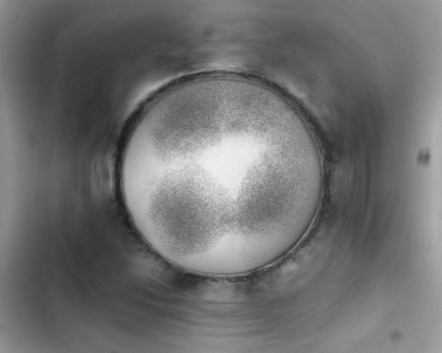 X0000103961214200809191503
