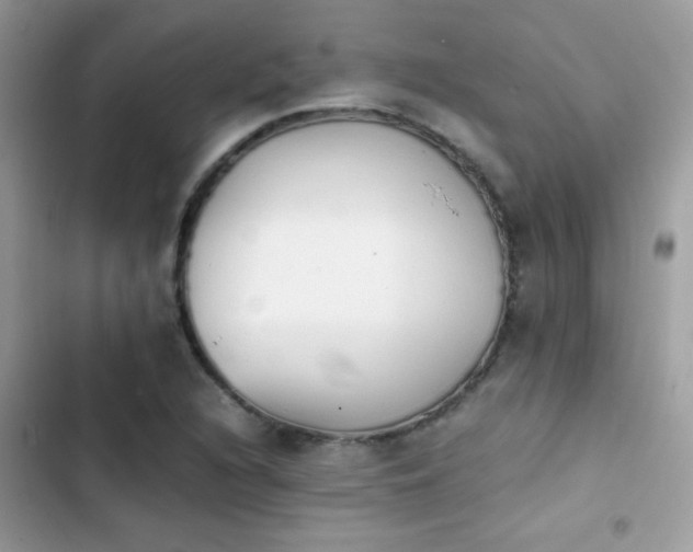 X0000103961216200809191503