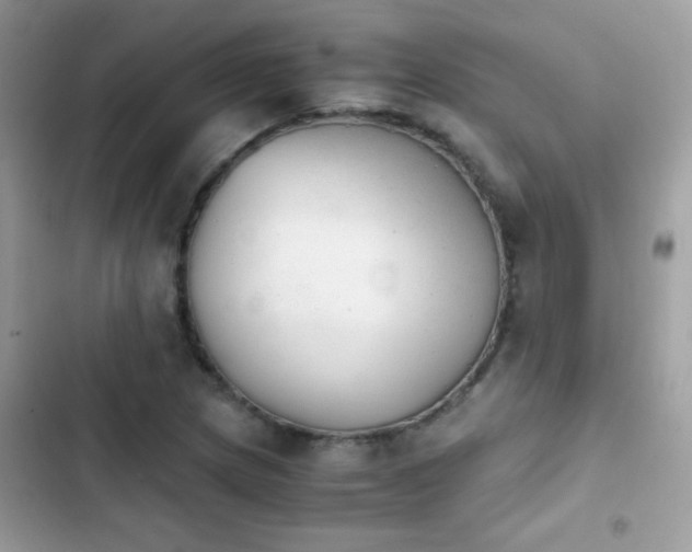 X0000103961217200809191503