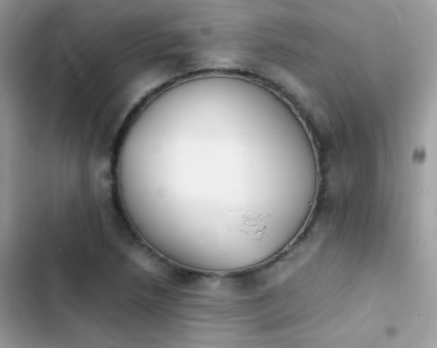 X0000103961218200809191503