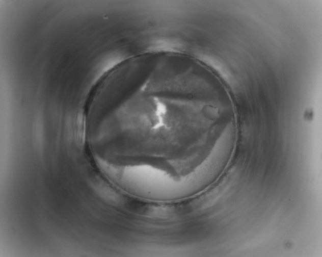 X0000103961219200809191503