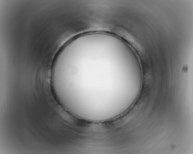 X0000103961220200809191503