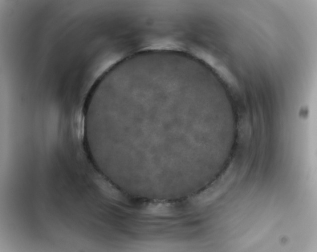 X0000103961221200809191503