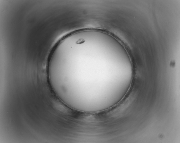 X0000103961222200809191503