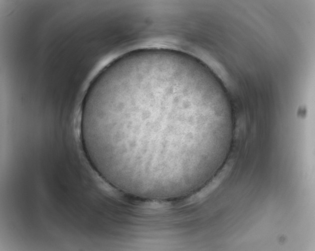 X0000103961224200809191503