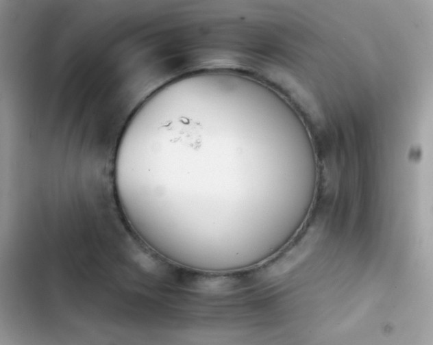 X0000103961225200809191503