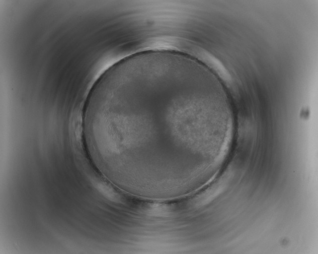X0000103961226200809191503