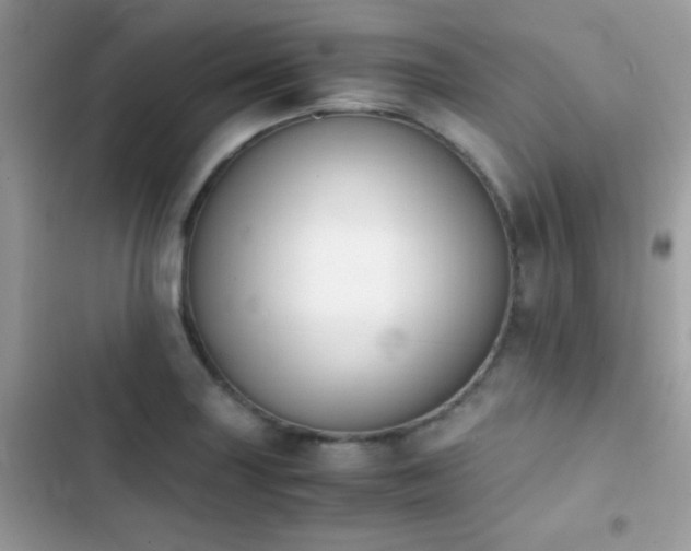 X0000103961227200809191503