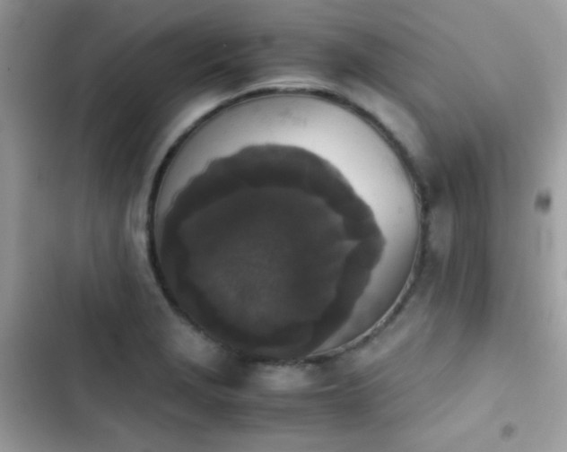 X0000103961229200809191503