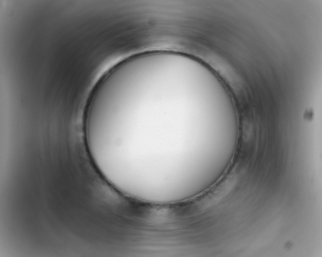 X0000103961230200809191503
