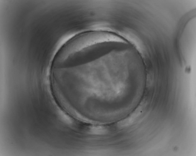 X0000103961231200809191504