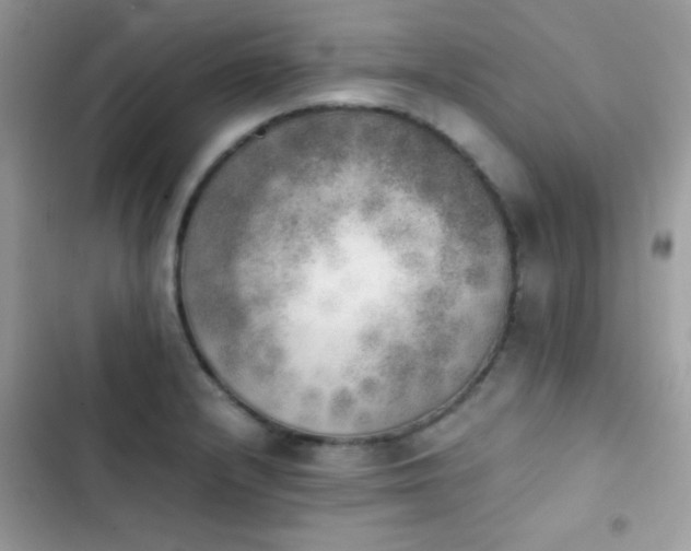 X0000103961232200809191504