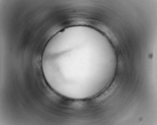 X0000103961233200809191504