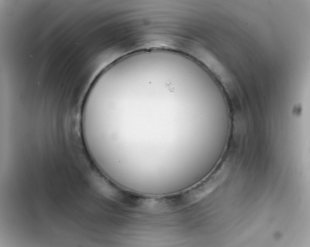 X0000103961234200809191504