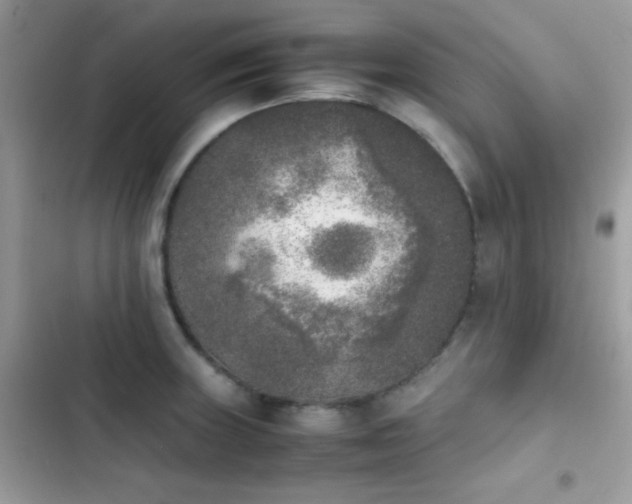 X0000103961235200809191504