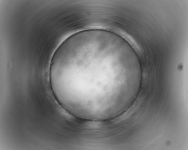 X0000103961236200809191504