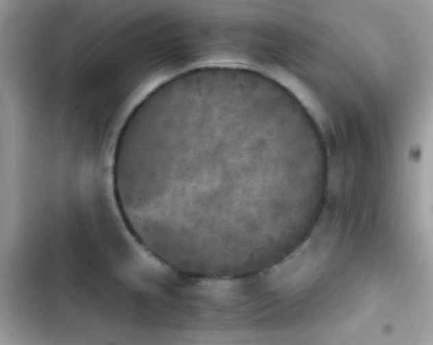 X0000103961237200809191504