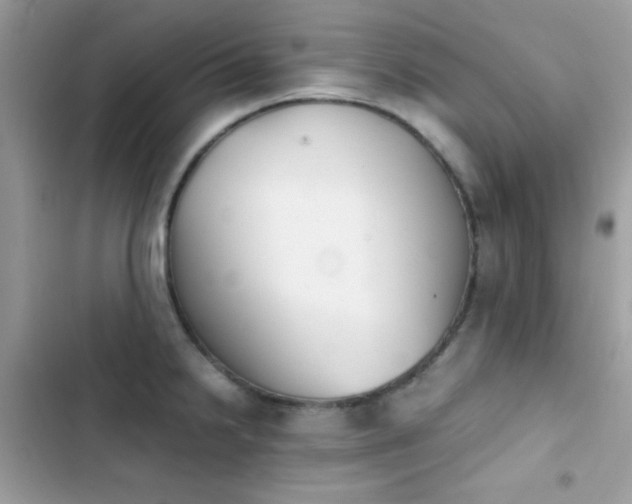X0000103961238200809191504