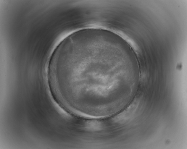 X0000103961239200809191504