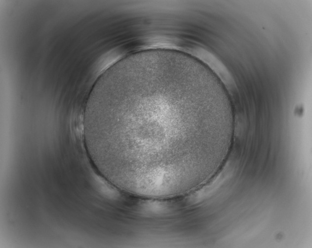 X0000103961241200809191504