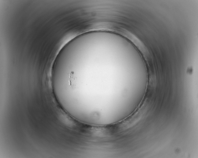 X0000103961242200809191504