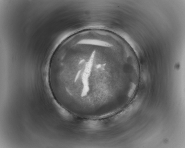 X0000103961245200809191504