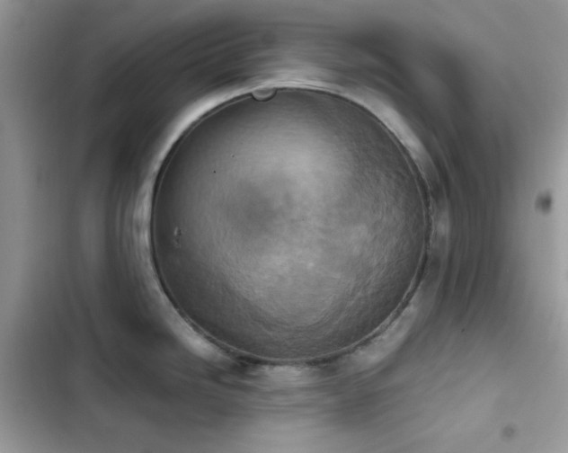 X0000103961246200809191504