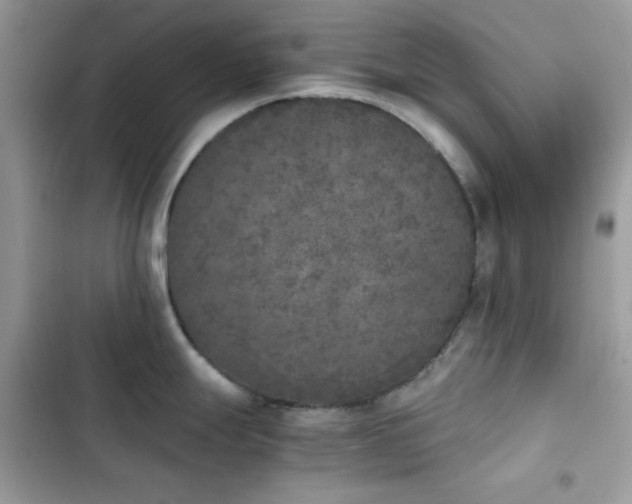 X0000103961247200809191504